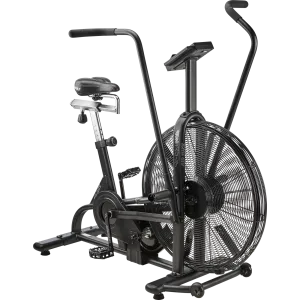 Assault Bike - Classic