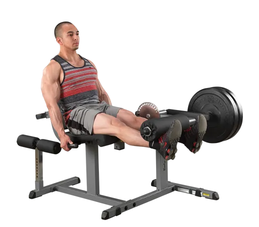 NEW Leg Curl/Extension Combo Plate Loaded by Body Solid GCEC340