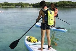 Paddle - Fitnessterapy