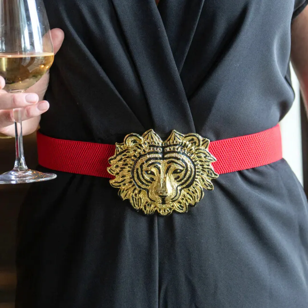 Red Interchangeable Stretch Belt Band