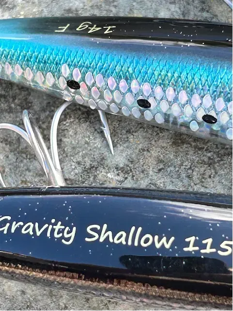 Savage Gear Gravity Shallow