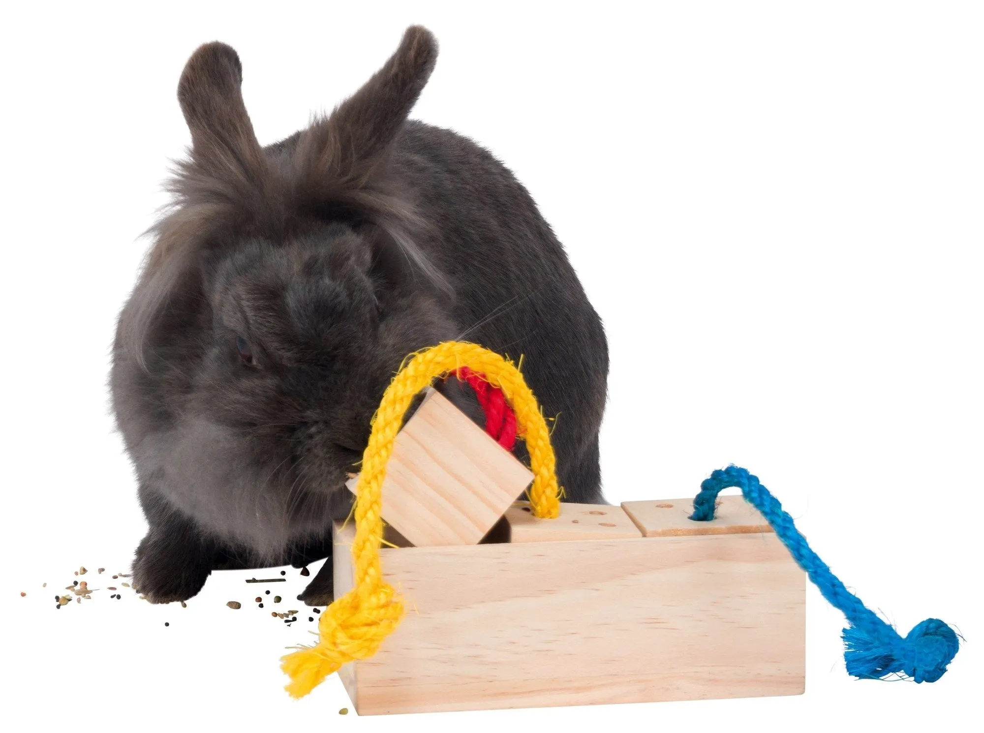 Treat Cube For Small Animals