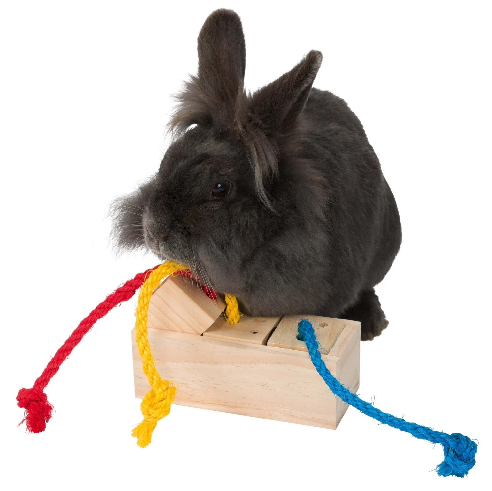 Treat Cube For Small Animals
